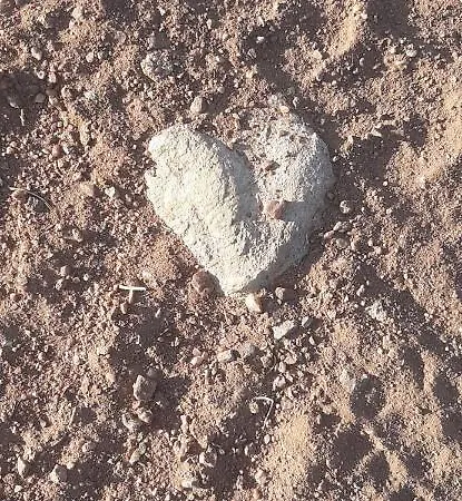 Appart Amour Apartment